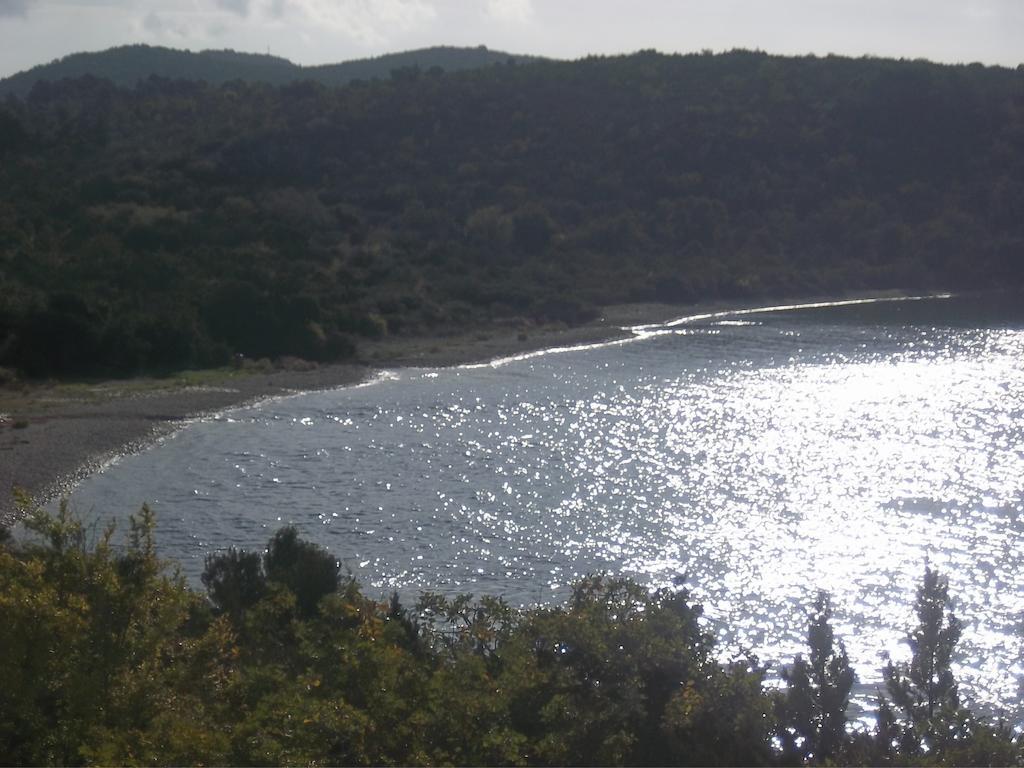Guesthouse Budima Banići Buitenkant foto