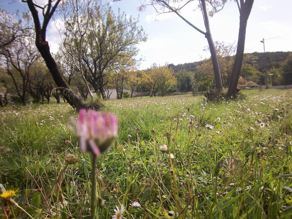 Guesthouse Budima Banići Buitenkant foto