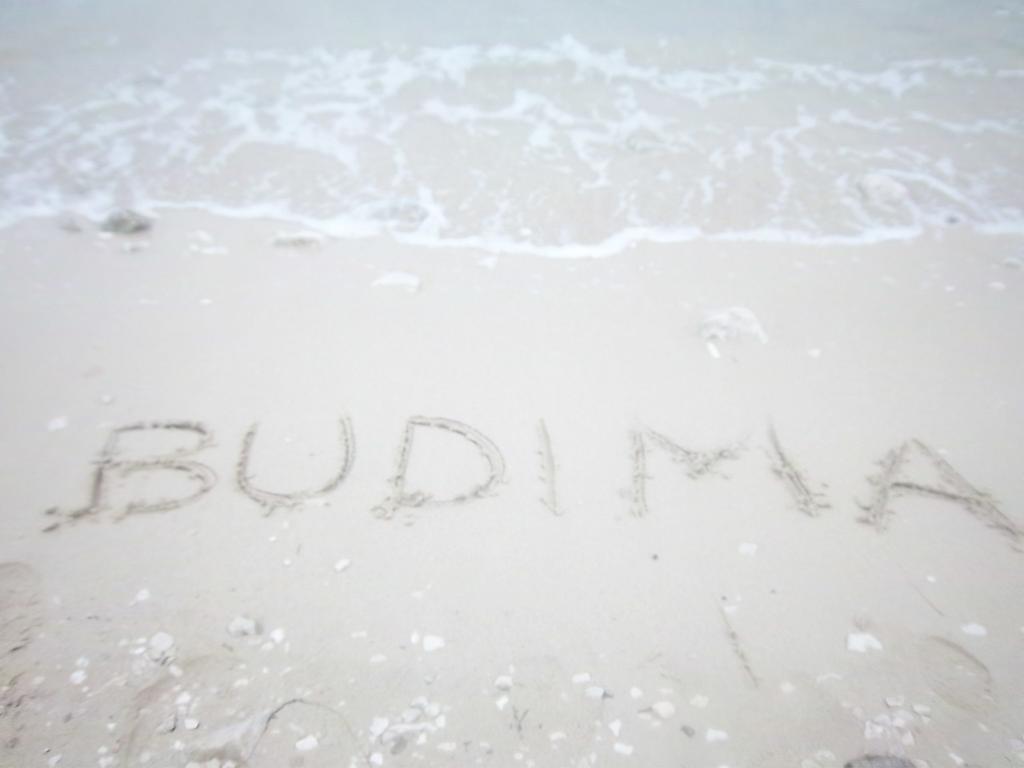 Guesthouse Budima Banići Buitenkant foto