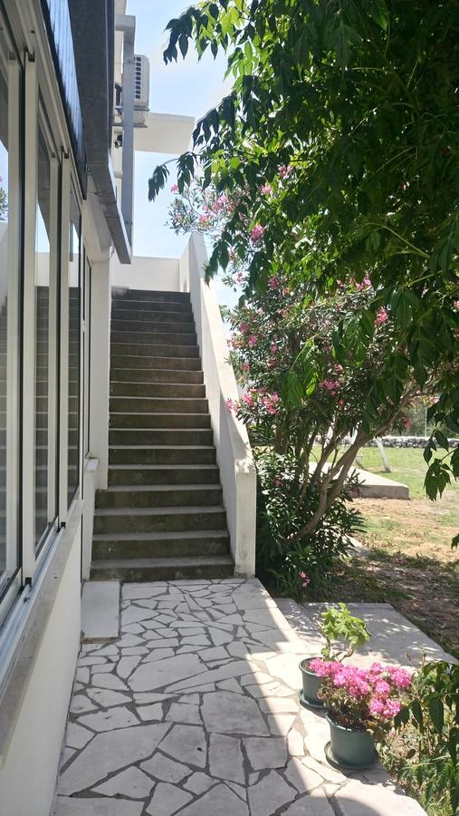 Guesthouse Budima Banići Buitenkant foto