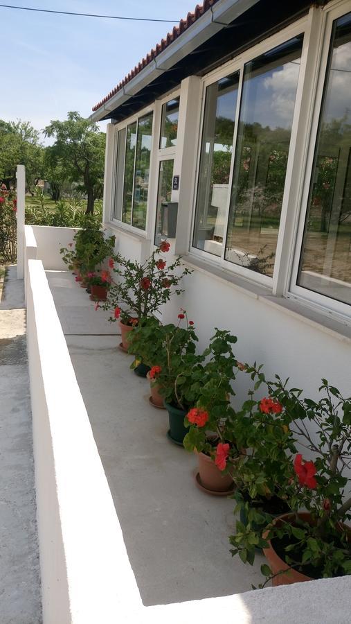 Guesthouse Budima Banići Buitenkant foto