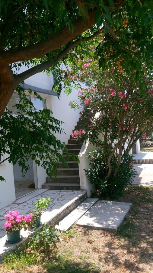 Guesthouse Budima Banići Buitenkant foto